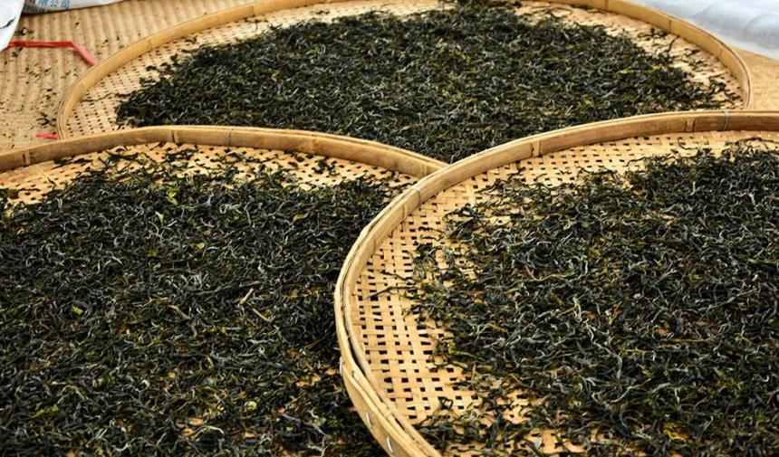 2022年，普洱茶市场是好还是坏？（2022年的普洱茶市场会是怎么样）